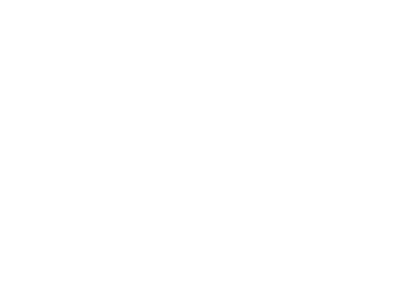 Dominican Mobility